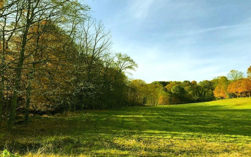 107 Sienna Trl, Venetia, 15367, ,Farm-acreage-lot,For Sale,Sienna Trl,1692435