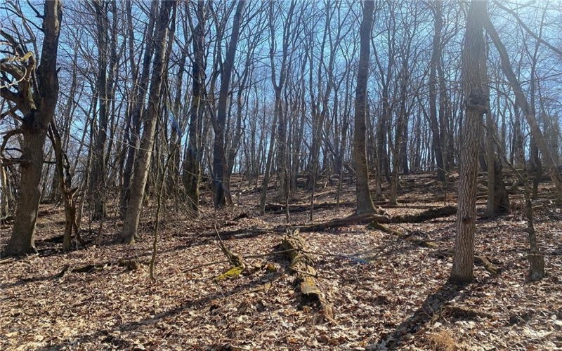 107 Sienna Trl, Venetia, 15367, ,Farm-acreage-lot,For Sale,Sienna Trl,1692435