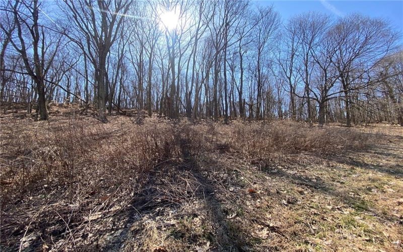 107 Sienna Trl, Venetia, 15367, ,Farm-acreage-lot,For Sale,Sienna Trl,1692435