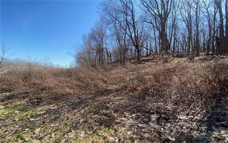107 Sienna Trl, Venetia, 15367, ,Farm-acreage-lot,For Sale,Sienna Trl,1692435
