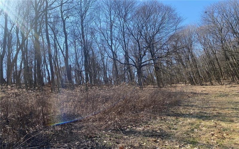 107 Sienna Trl, Venetia, 15367, ,Farm-acreage-lot,For Sale,Sienna Trl,1692435