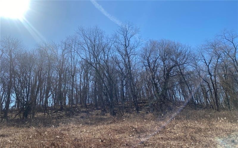 107 Sienna Trl, Venetia, 15367, ,Farm-acreage-lot,For Sale,Sienna Trl,1692435