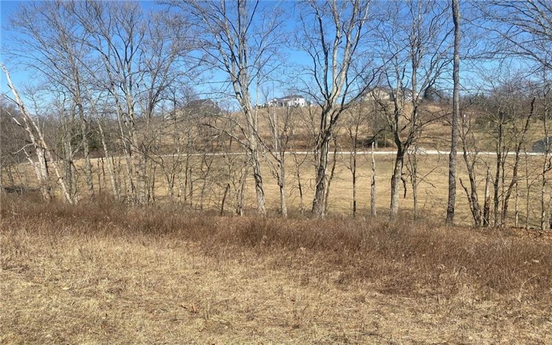 107 Sienna Trl, Venetia, 15367, ,Farm-acreage-lot,For Sale,Sienna Trl,1692435