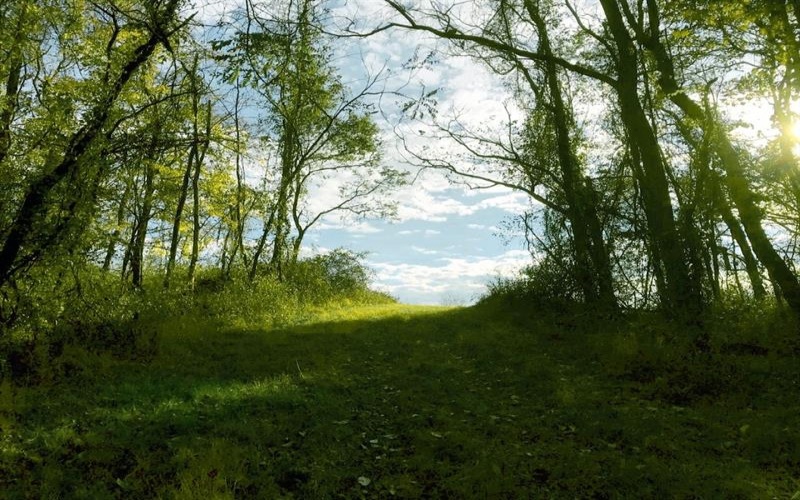 107 Sienna Trl, Venetia, 15367, ,Farm-acreage-lot,For Sale,Sienna Trl,1692435