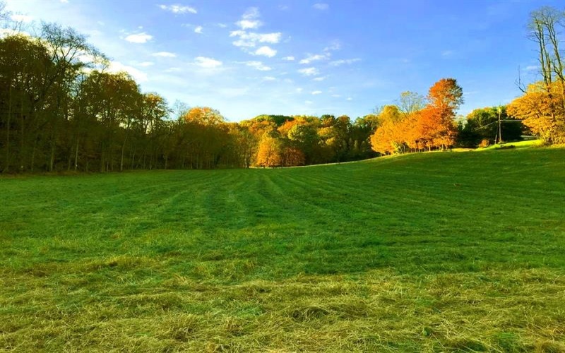 107 Sienna Trl, Eighty Four, 15330, ,Farm-acreage-lot,For Sale,Sienna Trl,1692446