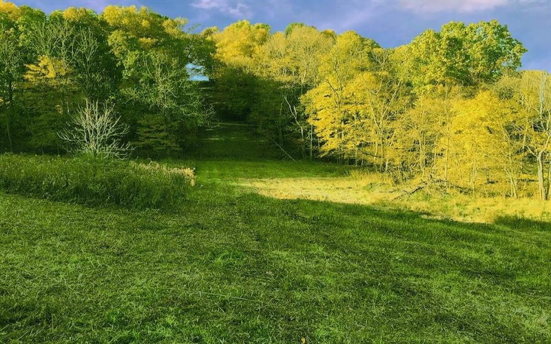 107 Sienna Trl, Eighty Four, 15330, ,Farm-acreage-lot,For Sale,Sienna Trl,1692446