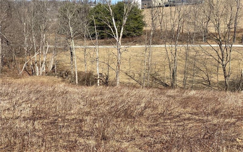 107 Sienna Trl, Eighty Four, 15330, ,Farm-acreage-lot,For Sale,Sienna Trl,1692446