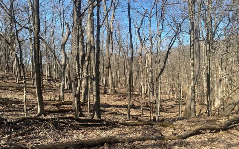 107 Sienna Trl, Eighty Four, 15330, ,Farm-acreage-lot,For Sale,Sienna Trl,1692446