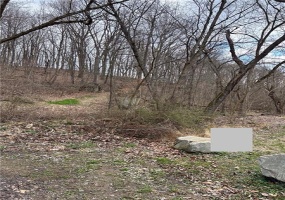 00 Main Street, Jacobs Creek, 15448, ,Farm-acreage-lot,For Sale,None,Main Street,1692891
