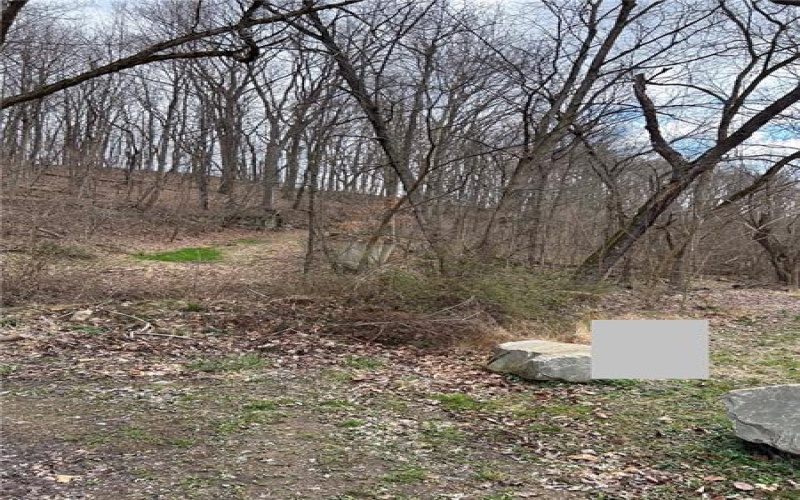 00 Main Street, Jacobs Creek, 15448, ,Farm-acreage-lot,For Sale,None,Main Street,1692891