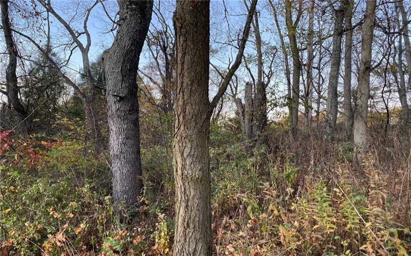 298A McCombs Rd, Venetia, 15367, ,Farm-acreage-lot,For Sale,McCombs Rd,1677700