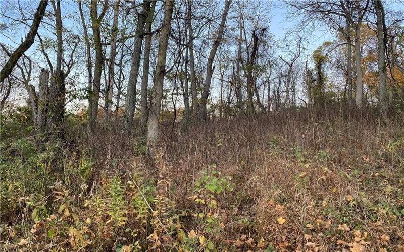 298A McCombs Rd, Venetia, 15367, ,Farm-acreage-lot,For Sale,McCombs Rd,1677700