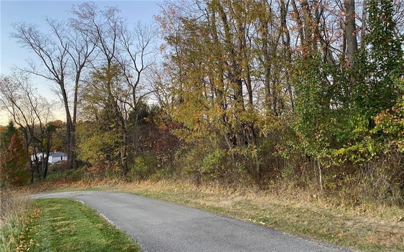 298A McCombs Rd, Venetia, 15367, ,Farm-acreage-lot,For Sale,McCombs Rd,1677700