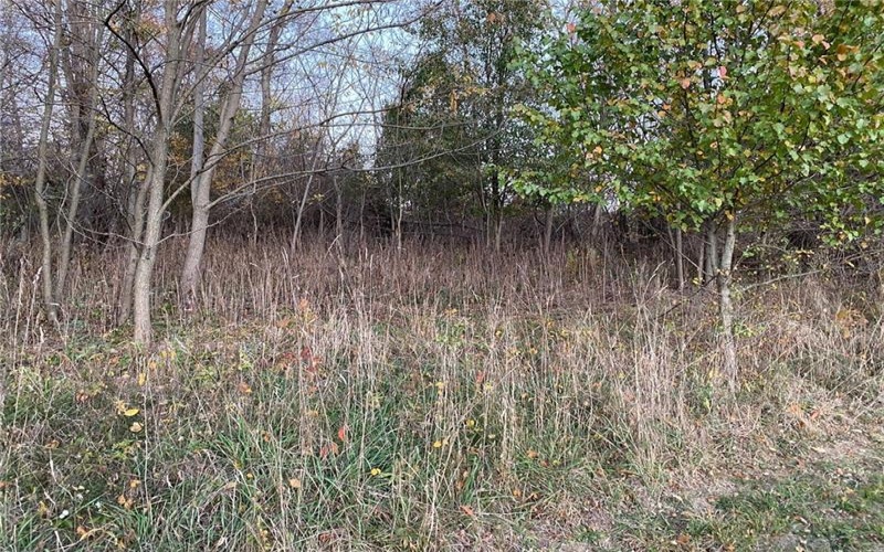 298A McCombs Rd, Venetia, 15367, ,Farm-acreage-lot,For Sale,McCombs Rd,1677700