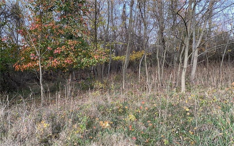298A McCombs Rd, Venetia, 15367, ,Farm-acreage-lot,For Sale,McCombs Rd,1677700