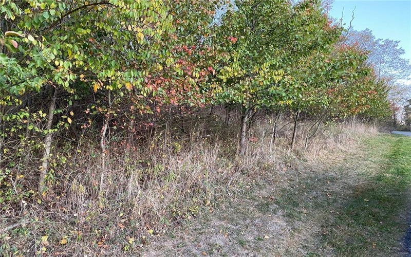 298A McCombs Rd, Venetia, 15367, ,Farm-acreage-lot,For Sale,McCombs Rd,1677700