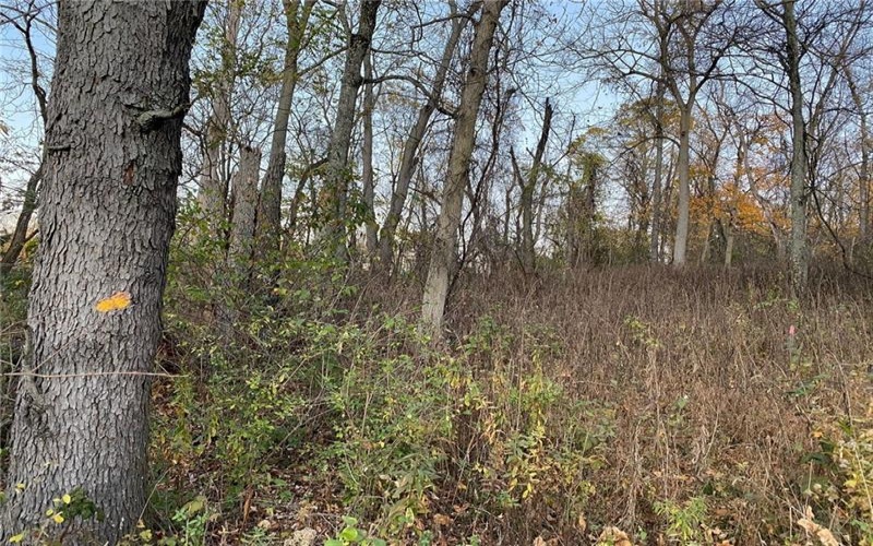 298A McCombs Rd, Venetia, 15367, ,Farm-acreage-lot,For Sale,McCombs Rd,1677700