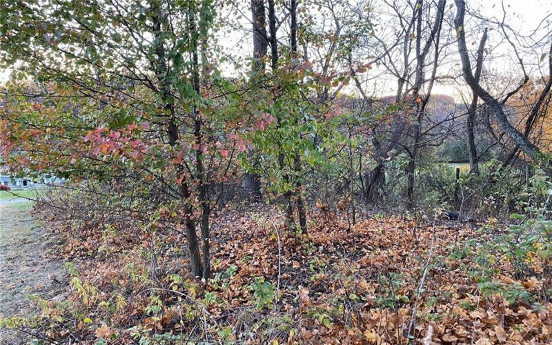 298A McCombs Rd, Venetia, 15367, ,Farm-acreage-lot,For Sale,McCombs Rd,1677700