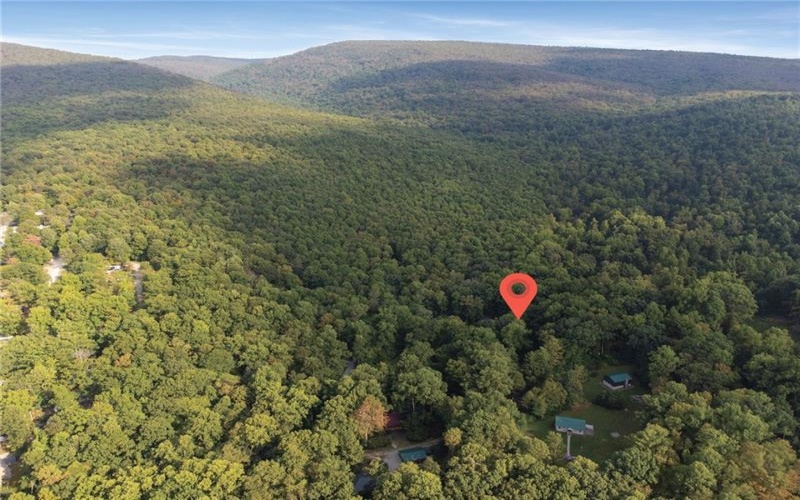 163 Laurel Ln, Champion, 15622, ,Farm-acreage-lot,For Sale,Cabin - Fire Damage,Laurel Ln,1691178