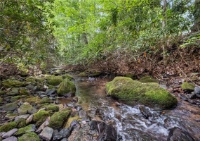 163 Laurel Ln, Champion, 15622, ,Farm-acreage-lot,For Sale,Cabin - Fire Damage,Laurel Ln,1691178