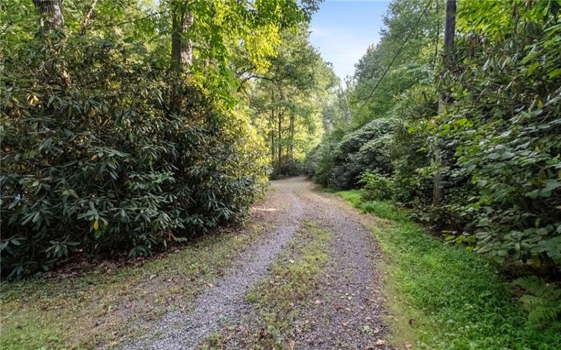163 Laurel Ln, Champion, 15622, ,Farm-acreage-lot,For Sale,Cabin - Fire Damage,Laurel Ln,1691178