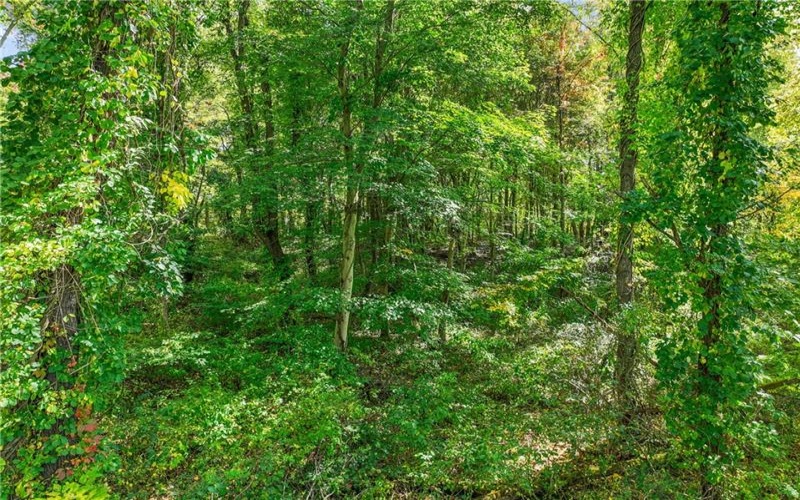 0 Scenic Dr, Daisytown, 15427, ,Farm-acreage-lot,For Sale,Scenic Dr,1694511