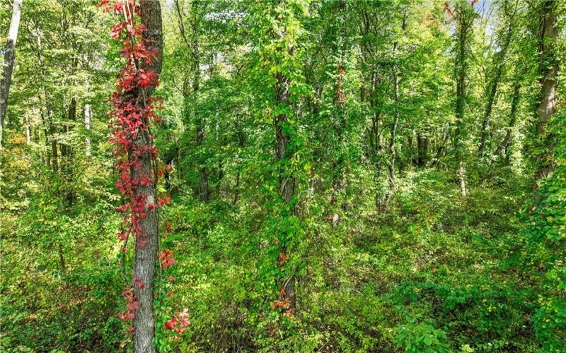 0 Scenic Dr, Daisytown, 15427, ,Farm-acreage-lot,For Sale,Scenic Dr,1694511