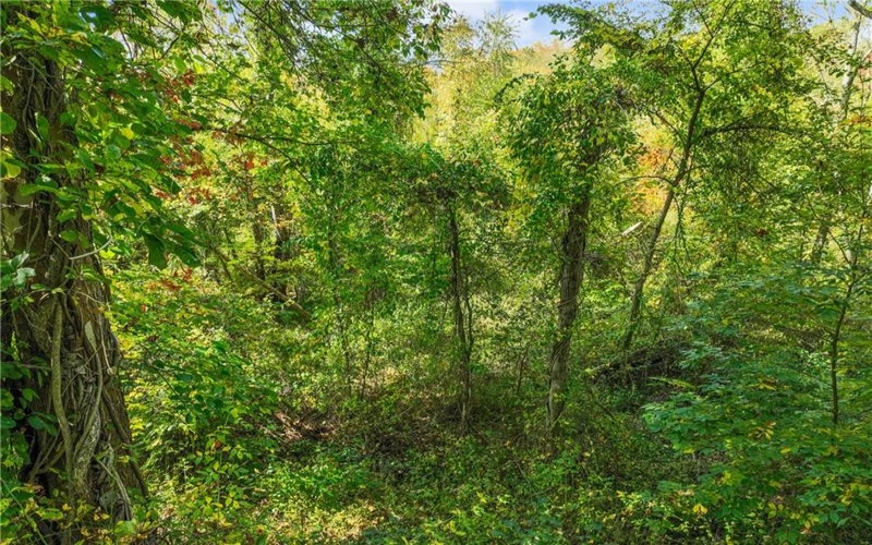 0 Scenic Dr, Daisytown, 15427, ,Farm-acreage-lot,For Sale,Scenic Dr,1694511