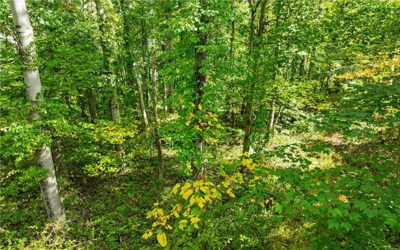 0 Scenic Dr, Daisytown, 15427, ,Farm-acreage-lot,For Sale,Scenic Dr,1694511