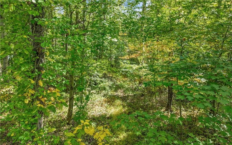 0 Scenic Dr, Daisytown, 15427, ,Farm-acreage-lot,For Sale,Scenic Dr,1694511