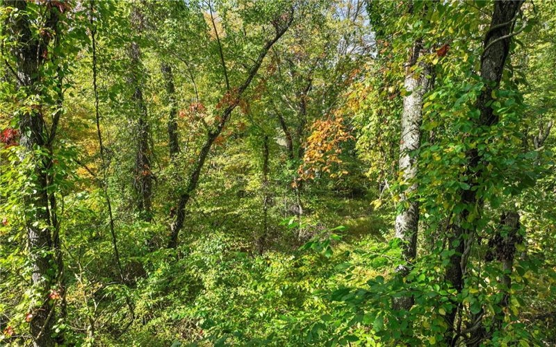 0 Scenic Dr, Daisytown, 15427, ,Farm-acreage-lot,For Sale,Scenic Dr,1694511