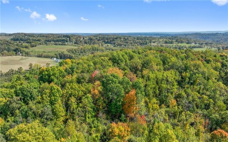 0 Scenic Dr, Daisytown, 15427, ,Farm-acreage-lot,For Sale,Scenic Dr,1694511