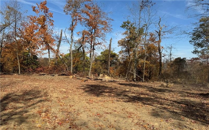 0 Fallen Timber Road, Avella, 15312, ,Farm-acreage-lot,For Sale,Fallen Timber Road,1694744