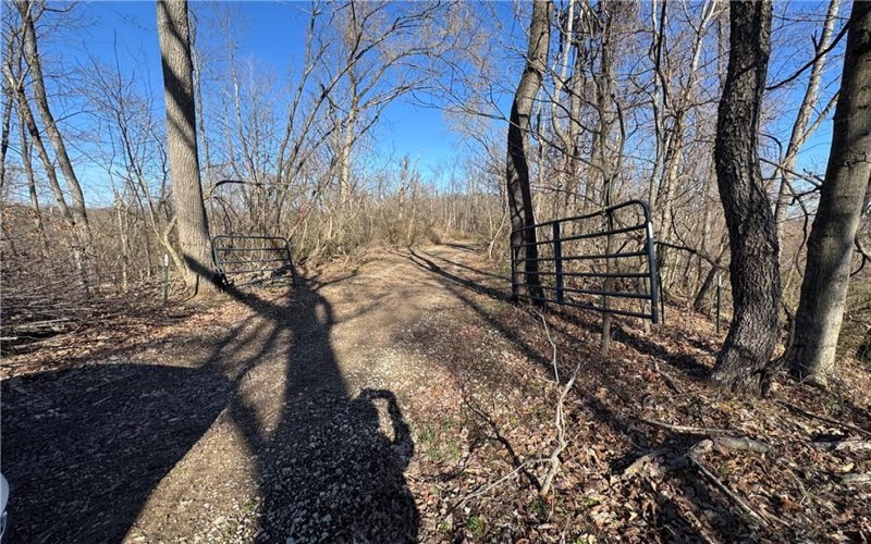 0 Fallen Timber Road, Avella, 15312, ,Farm-acreage-lot,For Sale,Fallen Timber Road,1694744