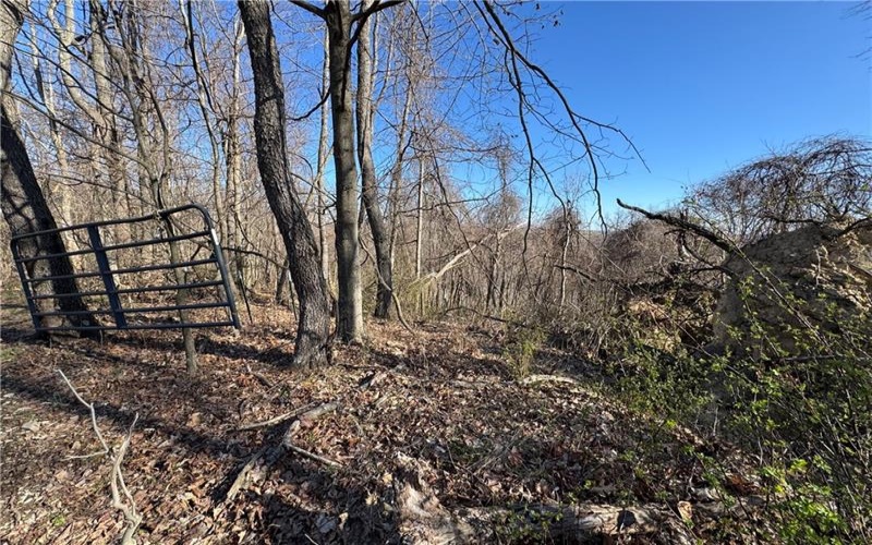 0 Fallen Timber Road, Avella, 15312, ,Farm-acreage-lot,For Sale,Fallen Timber Road,1694744