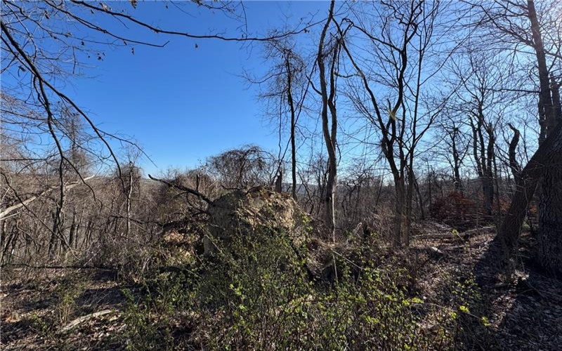 0 Fallen Timber Road, Avella, 15312, ,Farm-acreage-lot,For Sale,Fallen Timber Road,1694744
