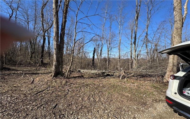 0 Fallen Timber Road, Avella, 15312, ,Farm-acreage-lot,For Sale,Fallen Timber Road,1694744