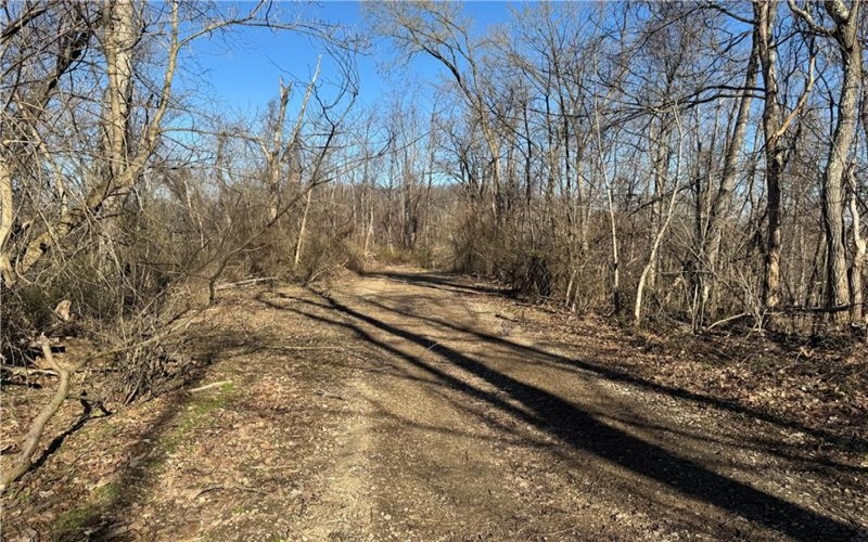 0 Fallen Timber Road, Avella, 15312, ,Farm-acreage-lot,For Sale,Fallen Timber Road,1694744