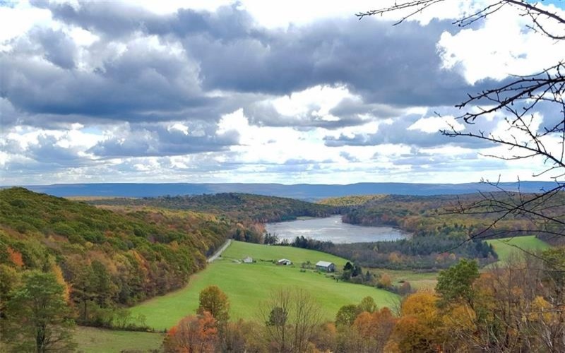 Lot 1 Cranberry Rd, Confluence, 15424, ,Farm-acreage-lot,For Sale,Cranberry Rd,1695038
