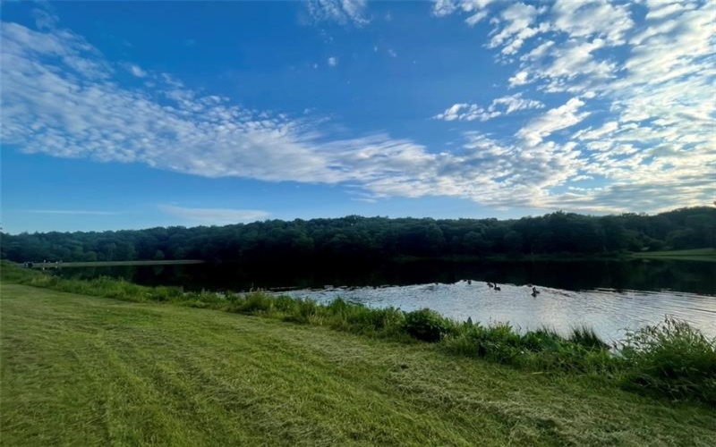 Lot 3 Cranberry Rd, Confluence, 15424, ,Farm-acreage-lot,For Sale,Cranberry Rd,1695041