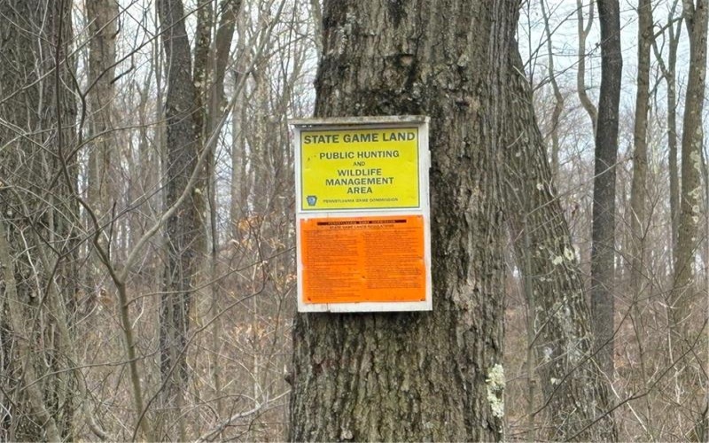 Lot 4 Cranberry Rd, Confluence, 15424, ,Farm-acreage-lot,For Sale,Cranberry Rd,1695042