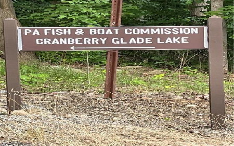 Lot 4 Cranberry Rd, Confluence, 15424, ,Farm-acreage-lot,For Sale,Cranberry Rd,1695042