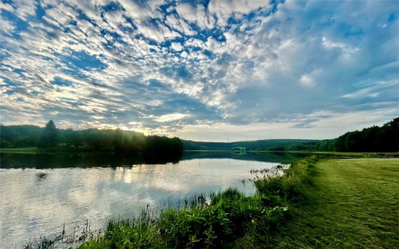 Lot 4 Cranberry Rd, Confluence, 15424, ,Farm-acreage-lot,For Sale,Cranberry Rd,1695042