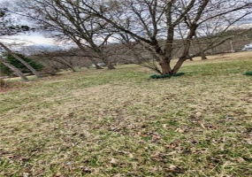 5814 State Route 711, New Florence, 15944, ,Farm-acreage-lot,For Sale,State Route 711,1695238