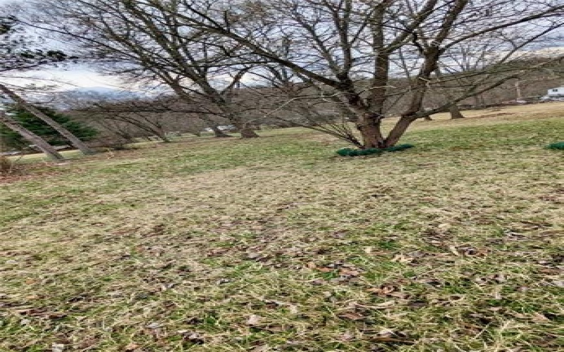 5814 State Route 711, New Florence, 15944, ,Farm-acreage-lot,For Sale,State Route 711,1695238