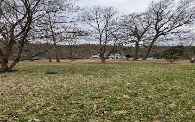 5814 State Route 711, New Florence, 15944, ,Farm-acreage-lot,For Sale,State Route 711,1695238