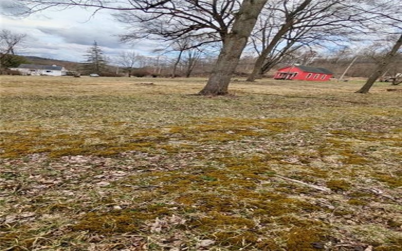 5814 State Route 711, New Florence, 15944, ,Farm-acreage-lot,For Sale,State Route 711,1695238