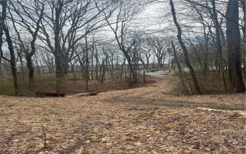 3827 State Route 981, Mount Pleasant, 15666, 1 Bedroom Bedrooms, ,1 BathroomBathrooms,Residential,For Sale,State Route 981,1695274