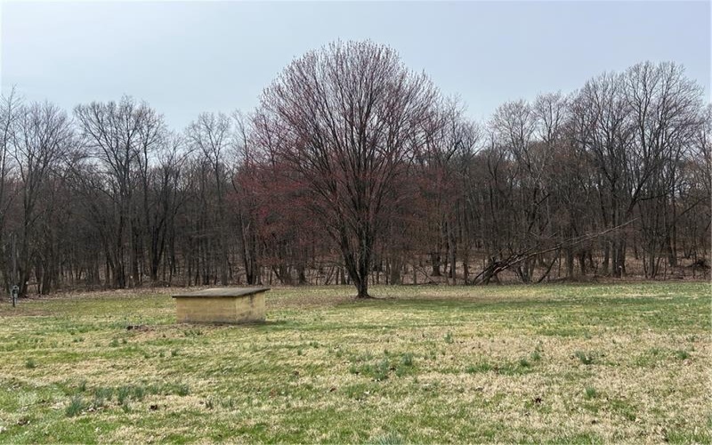165 Manns RD, Ruffs dale, 15679, ,Farm-acreage-lot,For Sale,Manns RD,1695294