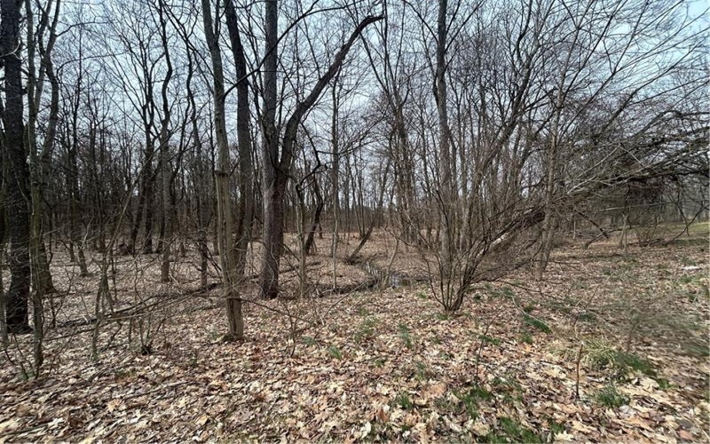 165 Manns RD, Ruffs dale, 15679, ,Farm-acreage-lot,For Sale,Manns RD,1695294
